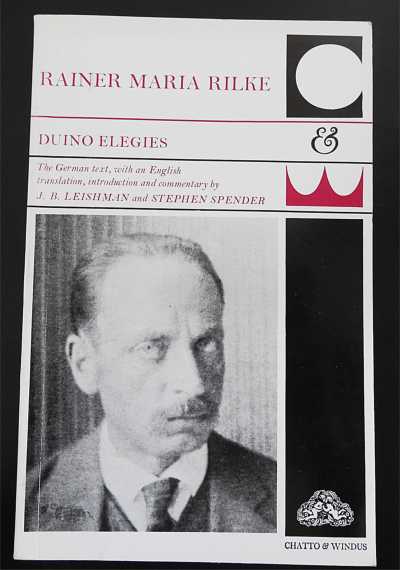 DUINO
