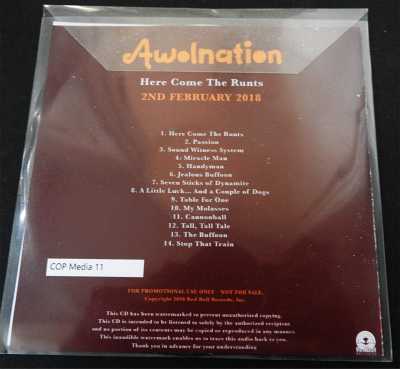 AWOLNATION