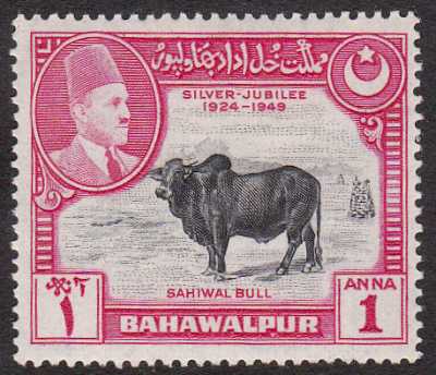 Bahawalpur