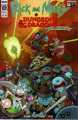 RICK AND MORTY vs DUNGEONS & DRAGONS THE MEESEEKS ADVENTURE COVER B ONE SHOT IDW