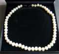 NECKLACE LARGE PEARL STRING CHOKER SILVER CLASP