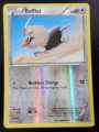 POKEMON RUFFLET 92/114 REVERSE HOLO STEAM SIEGE 2016 POKEMON NM